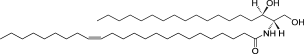 C24:1 Dihydroceramide (d18:0/24:1(15Z))